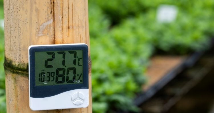 Termohigrómetros: Equipos de Medición Ambiental Esenciales
